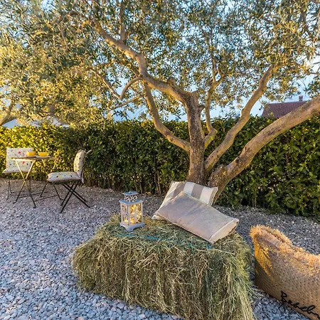 Vikendica Awesome In With Kitchen *