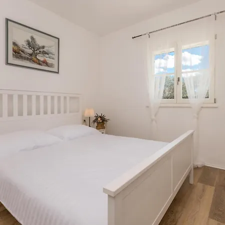 Awesome In With Kitchen 別荘